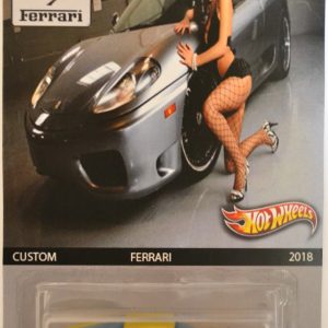 Hot Wheels Ferrari F430 Challenge Gold Silver Custom-Made with Real Rider Rubber Wheels Limited Edition Ferrari Series 1:64 Scale Collectible Die Cast Model Car