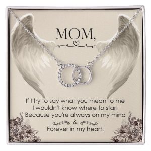Gift For Mom – Perfect Pair Necklace